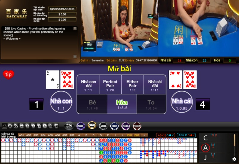 Nếu không làm chủ bản thân sẽ có rất nhiều rủi ro khi chơi bài Baccarat Nếu không làm chủ bản thân sẽ có rất nhiều rủi ro khi chơi bài Baccarat